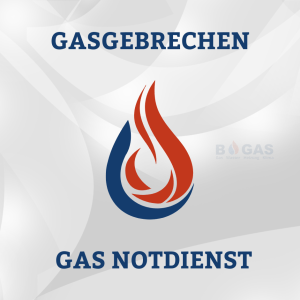 Thermentausch: WOLF – Vaillant Gastherme VCW AT 194/4-5